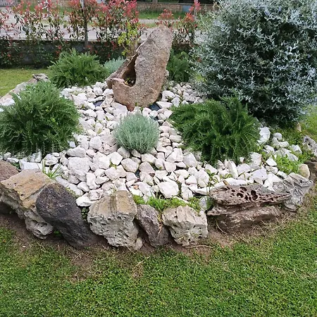 Bed & Breakfast Dal Tramonto All' Alba Arborea