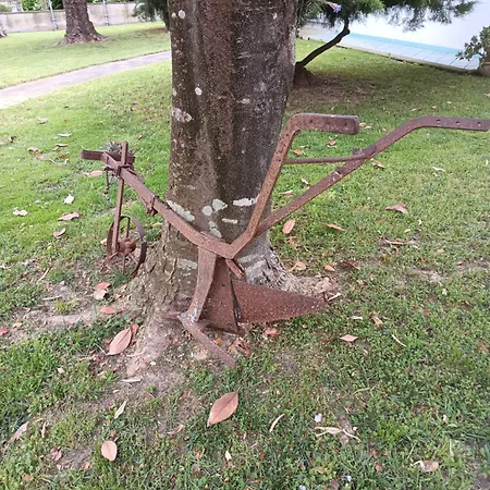 Dal Tramonto All' Alba