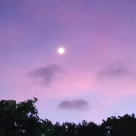 Dal Tramonto All' Alba *